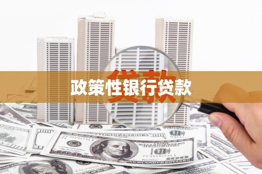 大石桥政策性银行贷款