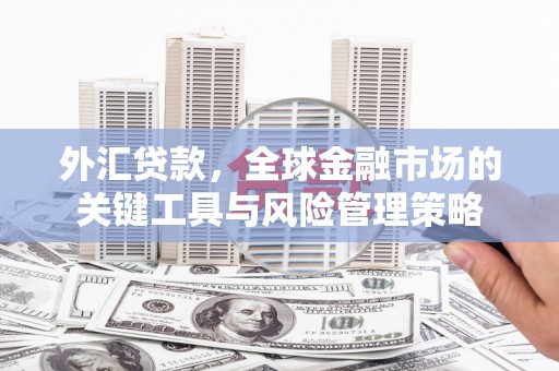 大石桥外汇贷款，全球金融市场的关键工具与风险管理策略