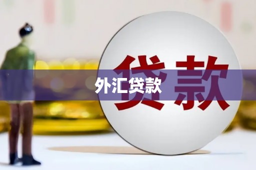 大石桥外汇贷款