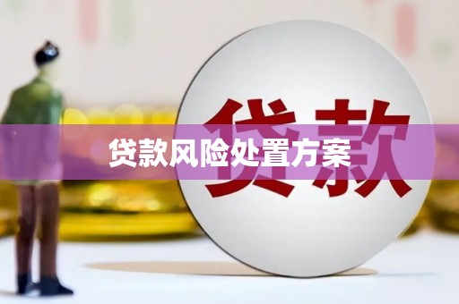 大石桥贷款风险处置方案