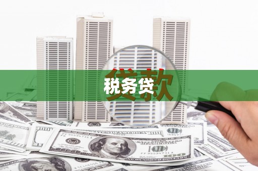 大石桥税务贷