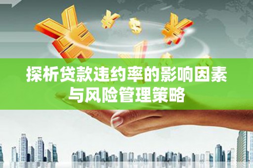 大石桥探析贷款违约率的影响因素与风险管理策略
