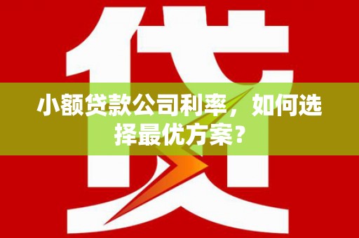 大石桥小额贷款公司利率，如何选择最优方案？