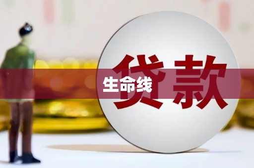 大石桥生命线