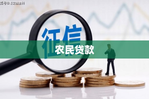 大石桥农民贷款