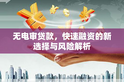 大石桥无电审贷款，快速融资的新选择与风险解析