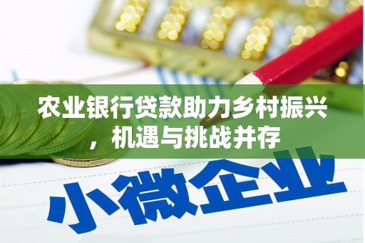 大石桥农业银行贷款助力乡村振兴，机遇与挑战并存