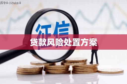 大石桥贷款风险处置方案