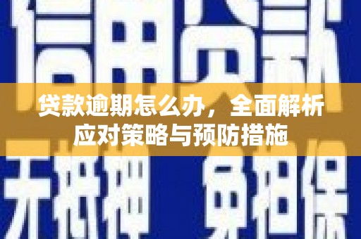 大石桥贷款逾期怎么办，全面解析应对策略与预防措施