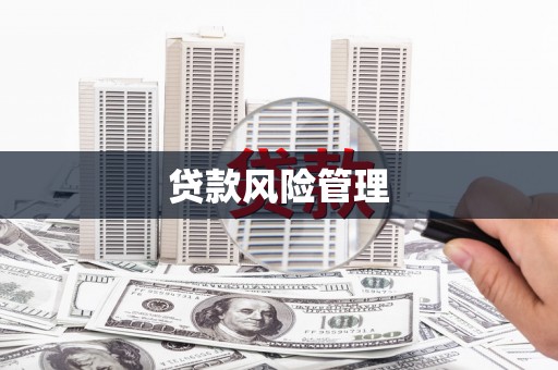 大石桥贷款风险管理