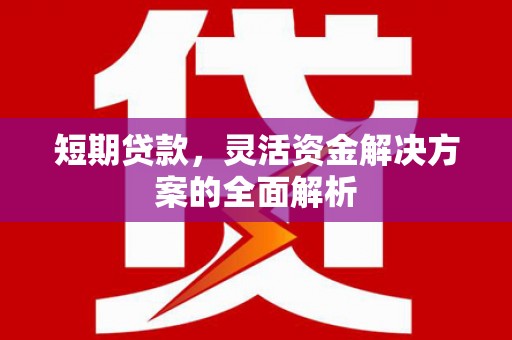大石桥短期贷款，灵活资金解决方案的全面解析