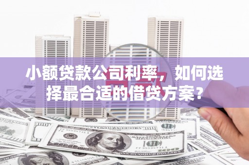 大石桥小额贷款公司利率，如何选择最合适的借贷方案？