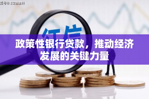 大石桥政策性银行贷款，推动经济发展的关键力量