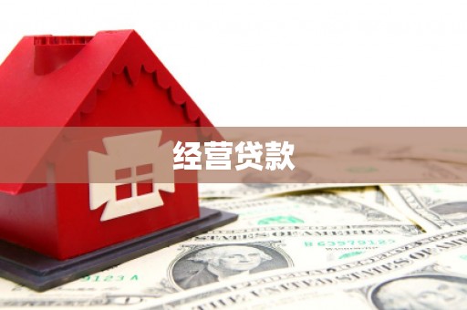 大石桥经营贷款