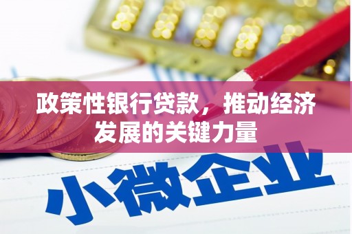 大石桥政策性银行贷款，推动经济发展的关键力量