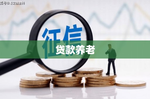 大石桥贷款养老