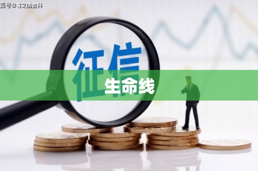 大石桥生命线