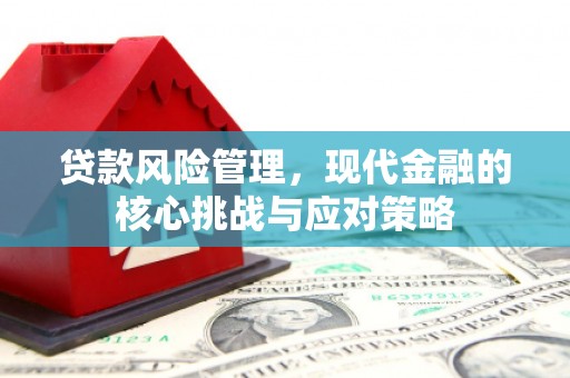 大石桥贷款风险管理，现代金融的核心挑战与应对策略
