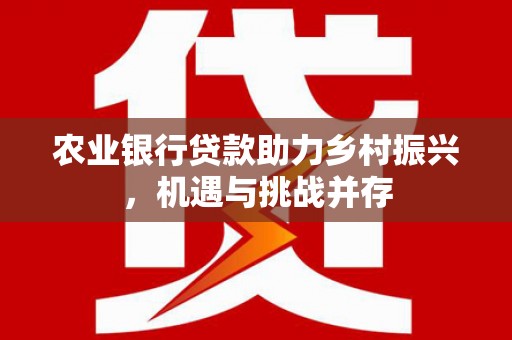 大石桥农业银行贷款助力乡村振兴，机遇与挑战并存