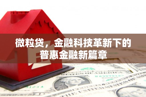 大石桥微粒贷，金融科技革新下的普惠金融新篇章