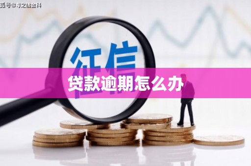 大石桥贷款逾期怎么办