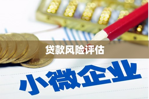 大石桥贷款风险评估