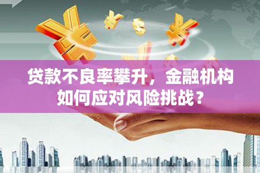 大石桥贷款不良率攀升，金融机构如何应对风险挑战？