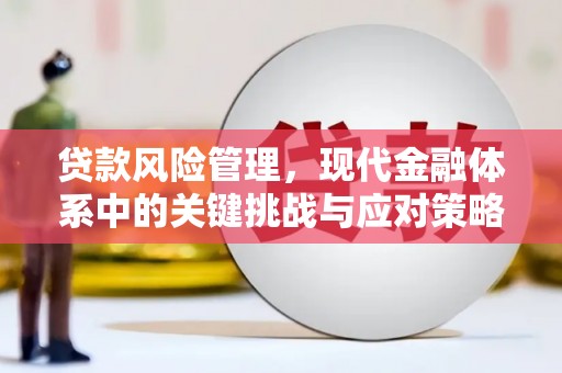 大石桥贷款风险管理，现代金融体系中的关键挑战与应对策略