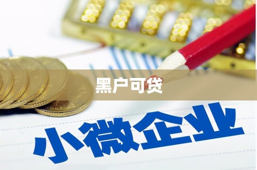 大石桥黑户可贷