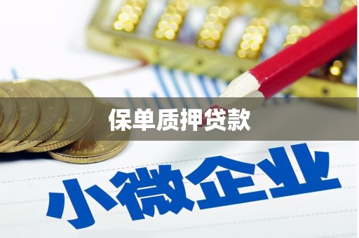 大石桥保单质押贷款