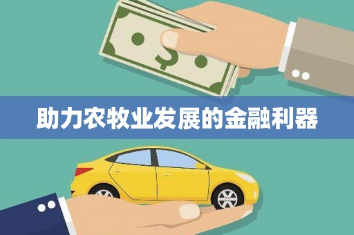 大石桥助力农牧业发展的金融利器