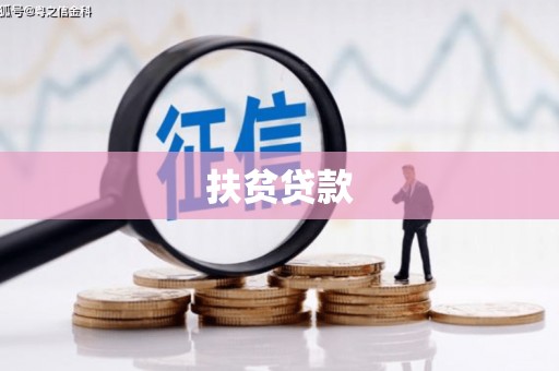 大石桥扶贫贷款